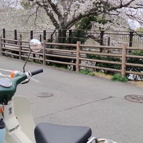 4月になりましたねの画像