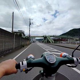 たまには動画をの画像