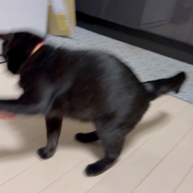 病院の画像