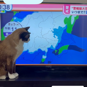 入院9.10.11日目の画像