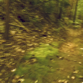 秘密のトラックの画像