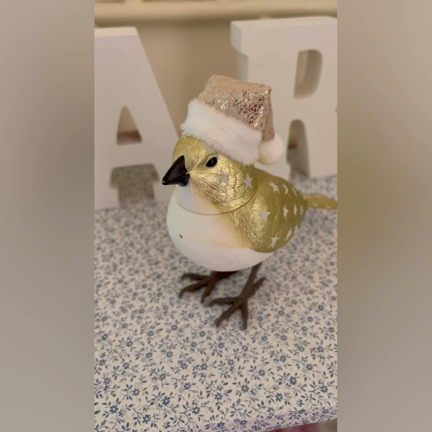 新しい看板が届きましたの記事動画