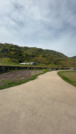 【滋賀県旅ランレポ】近江八幡〜彦根〜琵琶湖、絶景コースまとめの記事動画