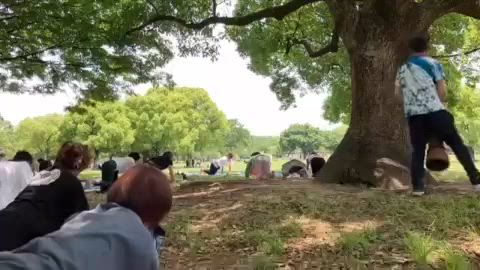 遊びも大切【簡単にできる痩せ痩せ習慣⑲】の記事動画