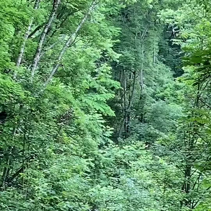 遊びで勇気をだしたら！自由が手に入った♪３週分ケアのご予約状況の記事動画