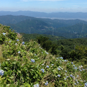 6/29(月)  大川原&樫原の棚田  おまけ動画の画像