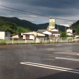 7/14(火)  向日葵畑 満濃町  動画③の画像