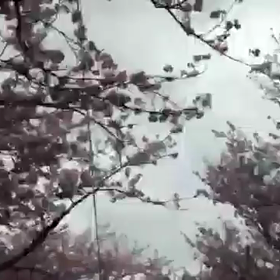 3月のまとめの画像