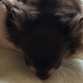 【動画】NEW  ベッドの画像