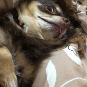 はいはいの画像