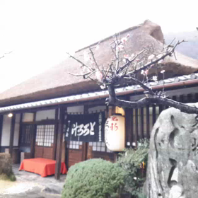 東海道の画像