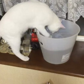水遊びの画像