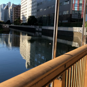 カモメの画像