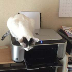 当番の画像