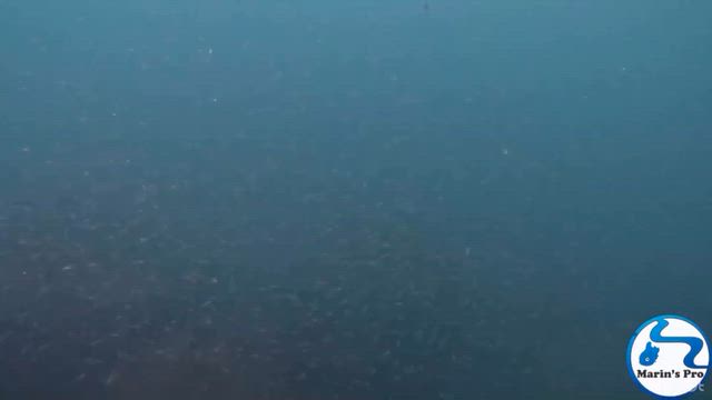 2026/09/28の記事動画