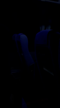 ハウステンボスに戻りました(^｡^)の記事動画