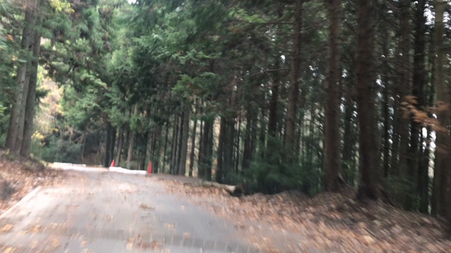 「余韻を感じにラリーコースを見に行った in額田SS」リーヌ(≧▽≦)の記事動画