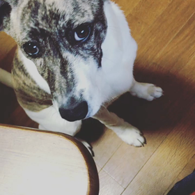 2017.04.18の画像