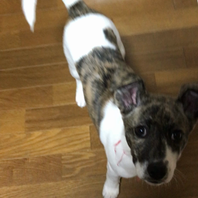 2017.03.01の画像
