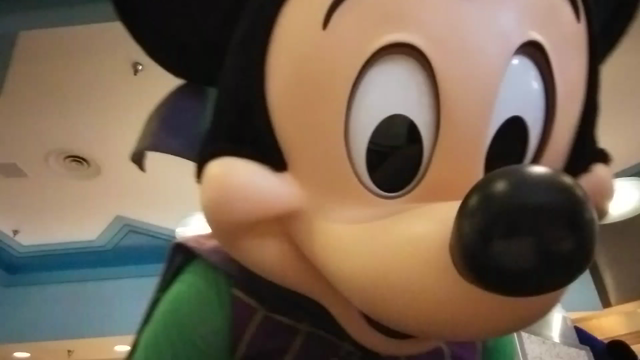 2019年　フロリダディズニー　ハリウッド＆バインの記事動画