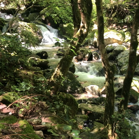 渓谷遊びの画像