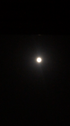 ピンクムーンと、こと座流星群 (夜空を見上げて)の記事動画