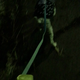 ”シュナうじゃ〜集まれ！！”の画像