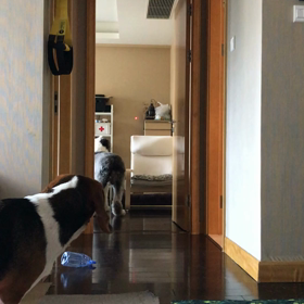 呼び覚ませの画像
