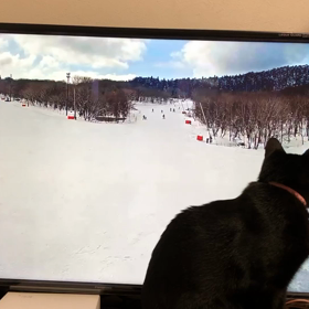テレビ見ますねーの画像