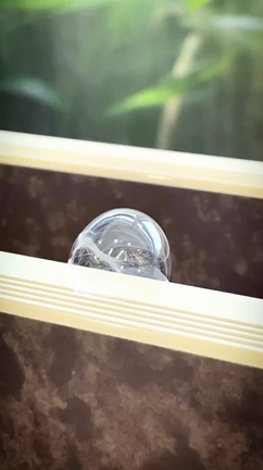 先日DAG「Bubble」通し稽古がありましたの記事動画