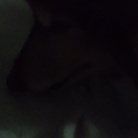 叫び。。。。の画像