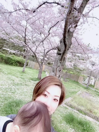 桜の下で捧げる歌の記事動画