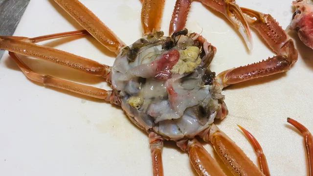 生のカニGETの記事動画