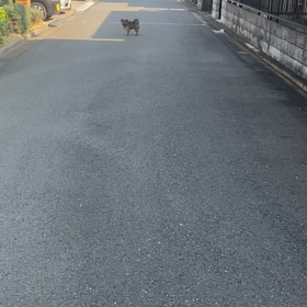 小型の画像
