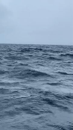 モロコ 釣果の記事動画