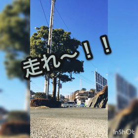正月太りってヤツの画像