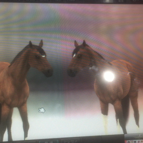 ビックリの画像