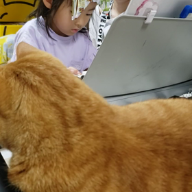 ピアノ練習の画像