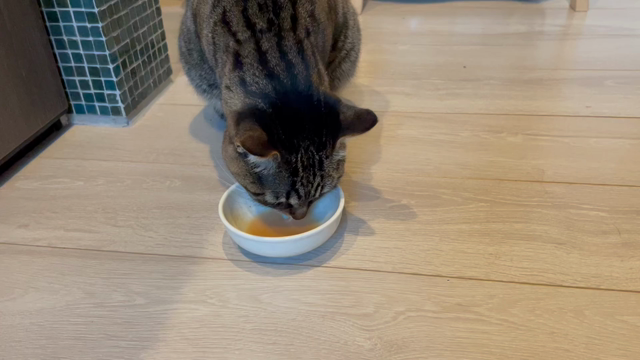 お水、飲んでいますか？の記事動画