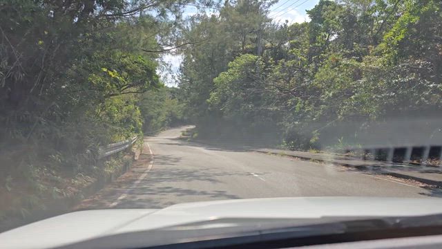 青春の病に侵され～聖地巡礼④の記事動画