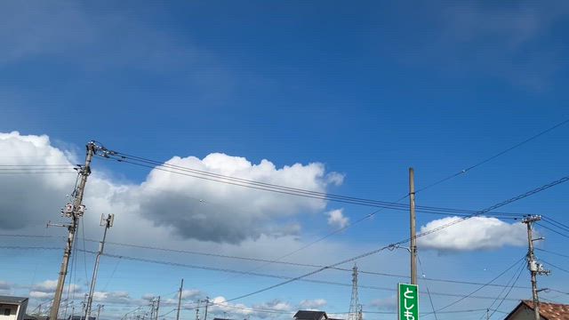 新年の挨拶の記事動画