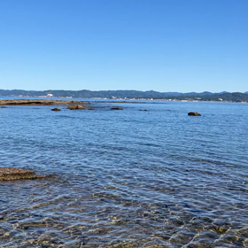 イルカ？魚？？鮫やー！ミニジョーズ！？の画像