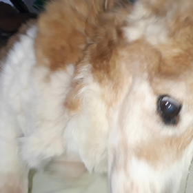 2018/12/09の画像