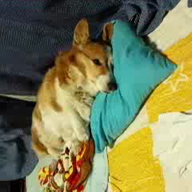 2014/12/10の画像