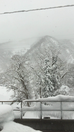 雪vsオーナー な日々 ❄️の記事動画