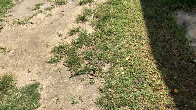 熱源キャラバン〜沖縄①〜の記事動画