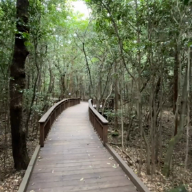 ヒーリングの画像