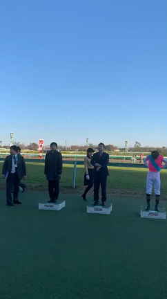 競馬の記事動画