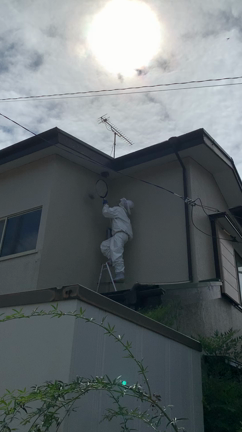 蜂の巣がぁーの記事動画