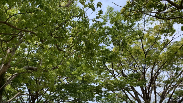 31歳。の記事動画